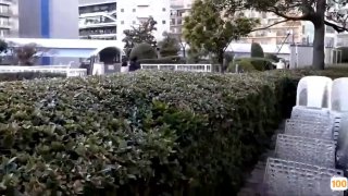 二零二三八月二十八号_安然骚宝